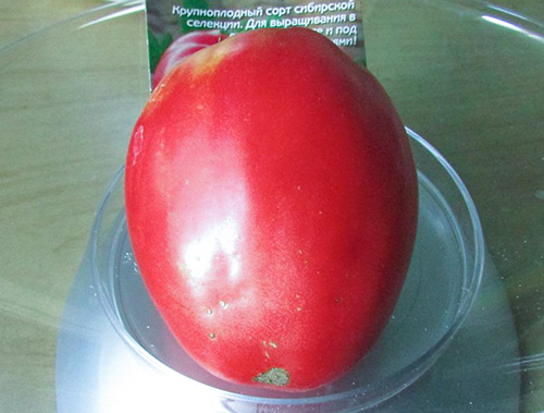 Tomato variety Grandee (Budenovka)