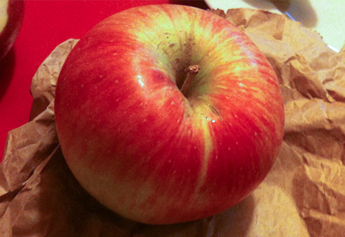 Wellsey apple variety