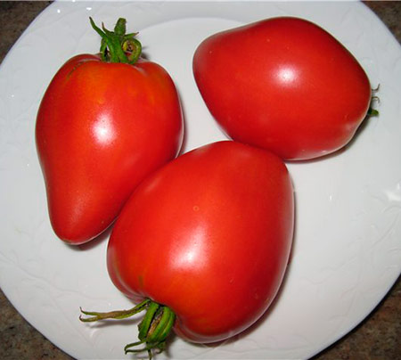 Tomato variety Pink honey