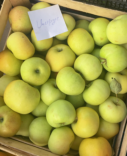 Apple variety Imrus