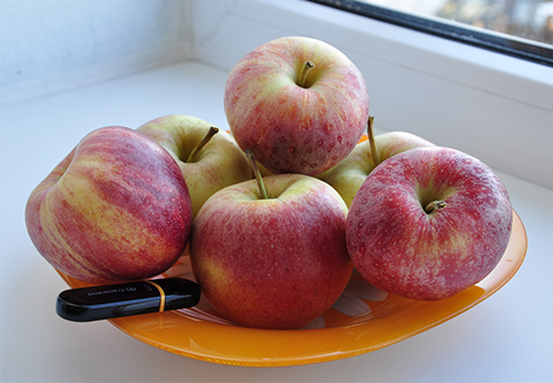 Apple variety Gala