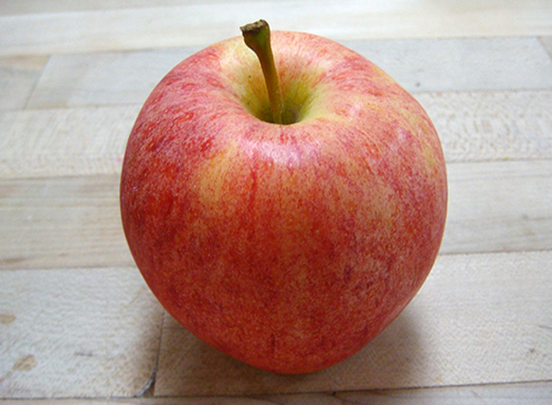 Apple variety Gala