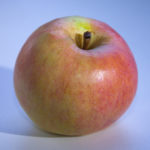 Apple variety Persianka