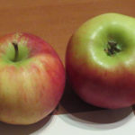 Apple variety Auxis