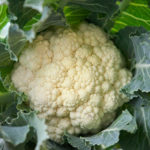 Storing cauliflower