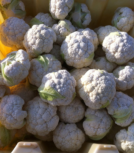 Storing cauliflower