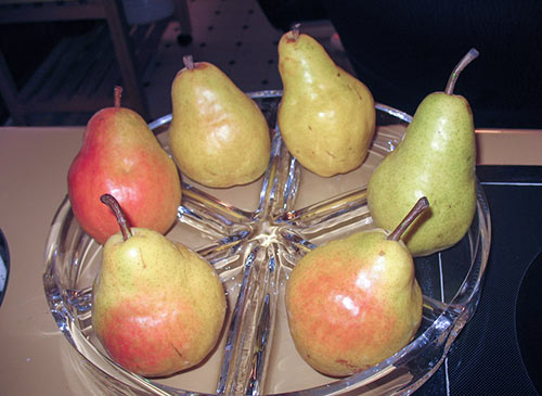 Pear variety Williams (Summer Duchess)