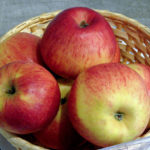 Apple variety Cinnamon new