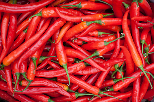 Høsting og lagring av paprika