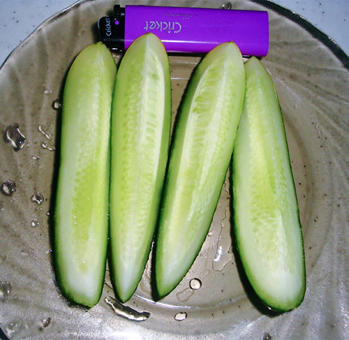 Cucumber variety Patti