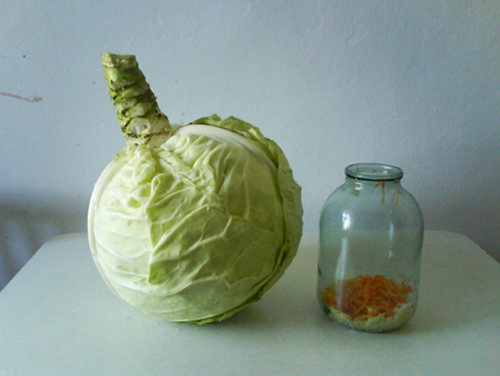 Cabbage variety Nadezhda