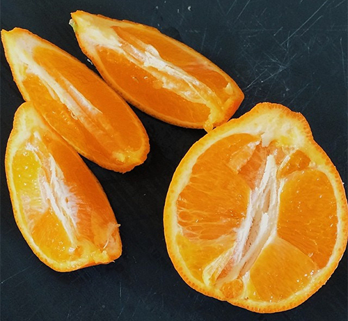 Mandarin Mineola