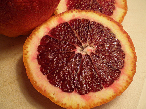 Moro orange variety