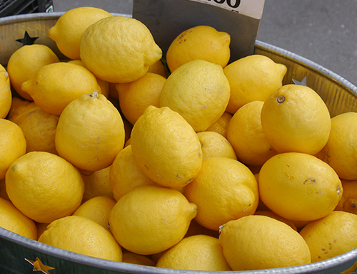 Lemon variety Eureka