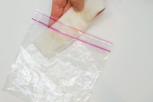 Soaking tomato seeds before planting