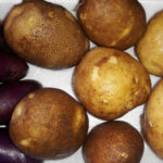 Kiwi potato variety