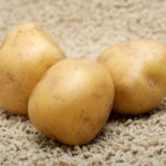 Dolphin potato variety