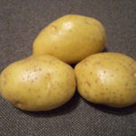 Juvel potato variety