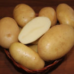 Potato variety Krepysh