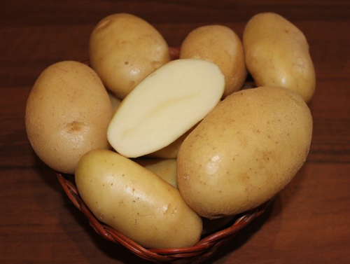 Potato variety Krepysh