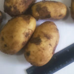 Potato variety Nadezhda