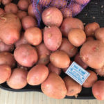 Potato variety Red Sonya