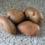 Potato variety Spiridon