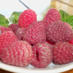 Raspberry pelbagai Maravilla