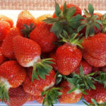 Pelbagai strawberi Clery