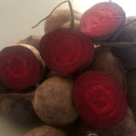 Beet variety Mulatto