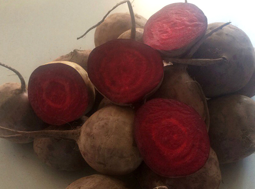 Beet variety Mulatto