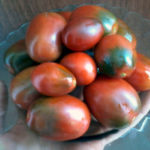 Tomato variety Black Moor