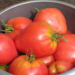 Mazarin pelbagai jenis tomato