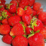 Fairy strawberry variety