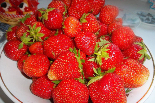 Pelbagai strawberi peri