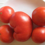 Tomato variety EM-Champion