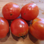 Klusha tomato variety