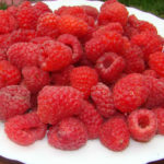 Raspberry variety Maroseyka