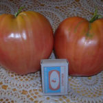 Tomato variety Volovye heart