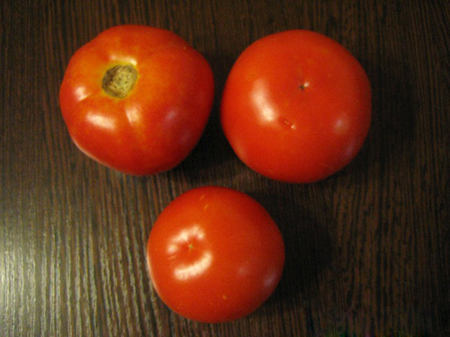 Pelbagai tomato Krasnobay (F1)