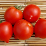 Tomato variety Yubileiny Tarasenko