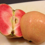 Apple variety Pink pearls