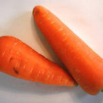 Carrot variety Carotel