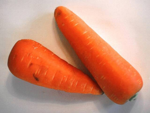 Carotel pelbagai carrot