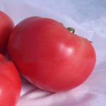 Vermilion pelbagai jenis tomato (F1)