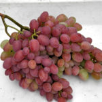 Helios grape variety