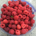 Raspberry pelbagai musim panas India