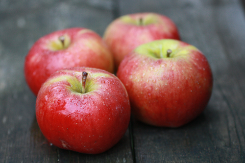 Apple variety Topaz