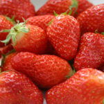 Strawberry variety Gariguetta (Gariguette)