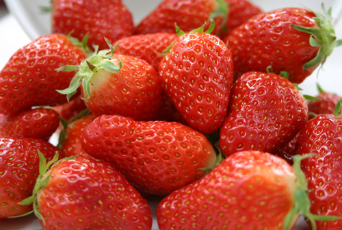 Strawberry variety Gariguetta (Gariguette)